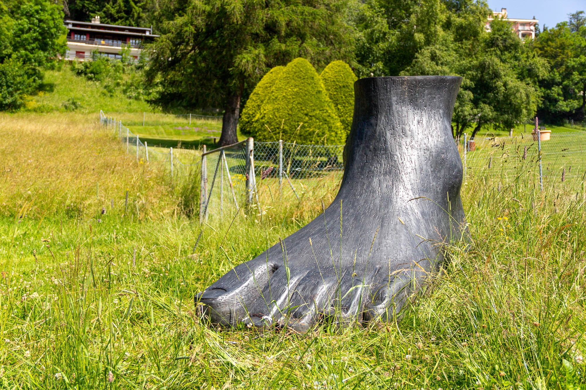Le pied