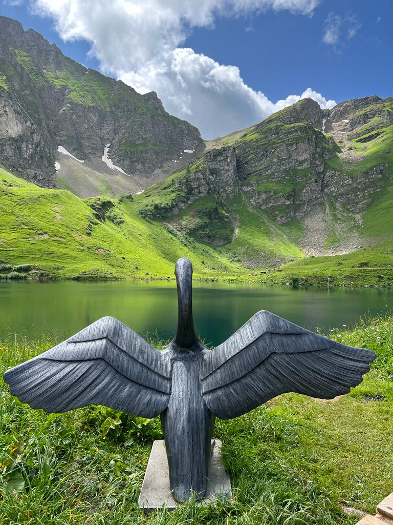 Le cygne
