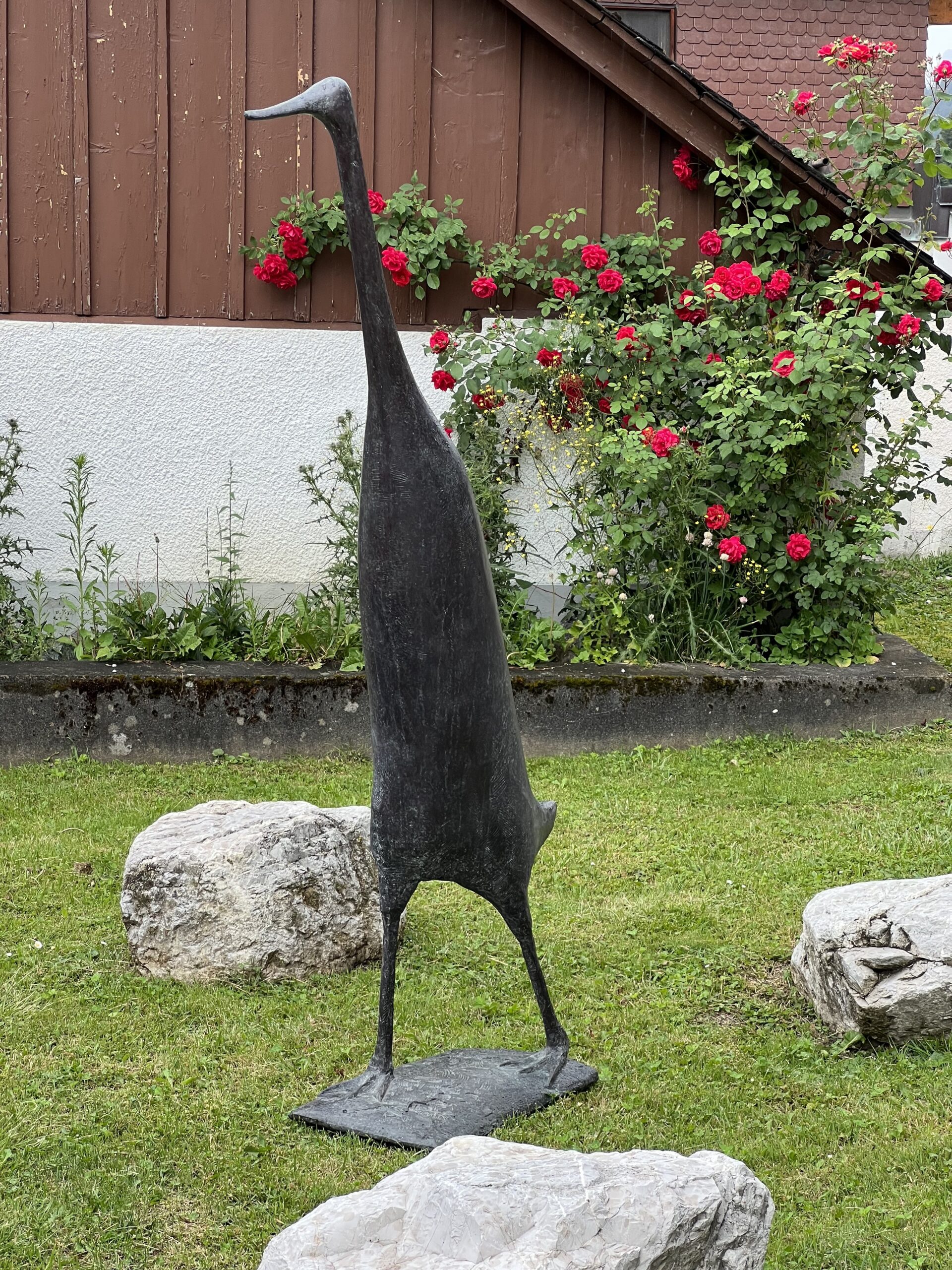 Runner duck