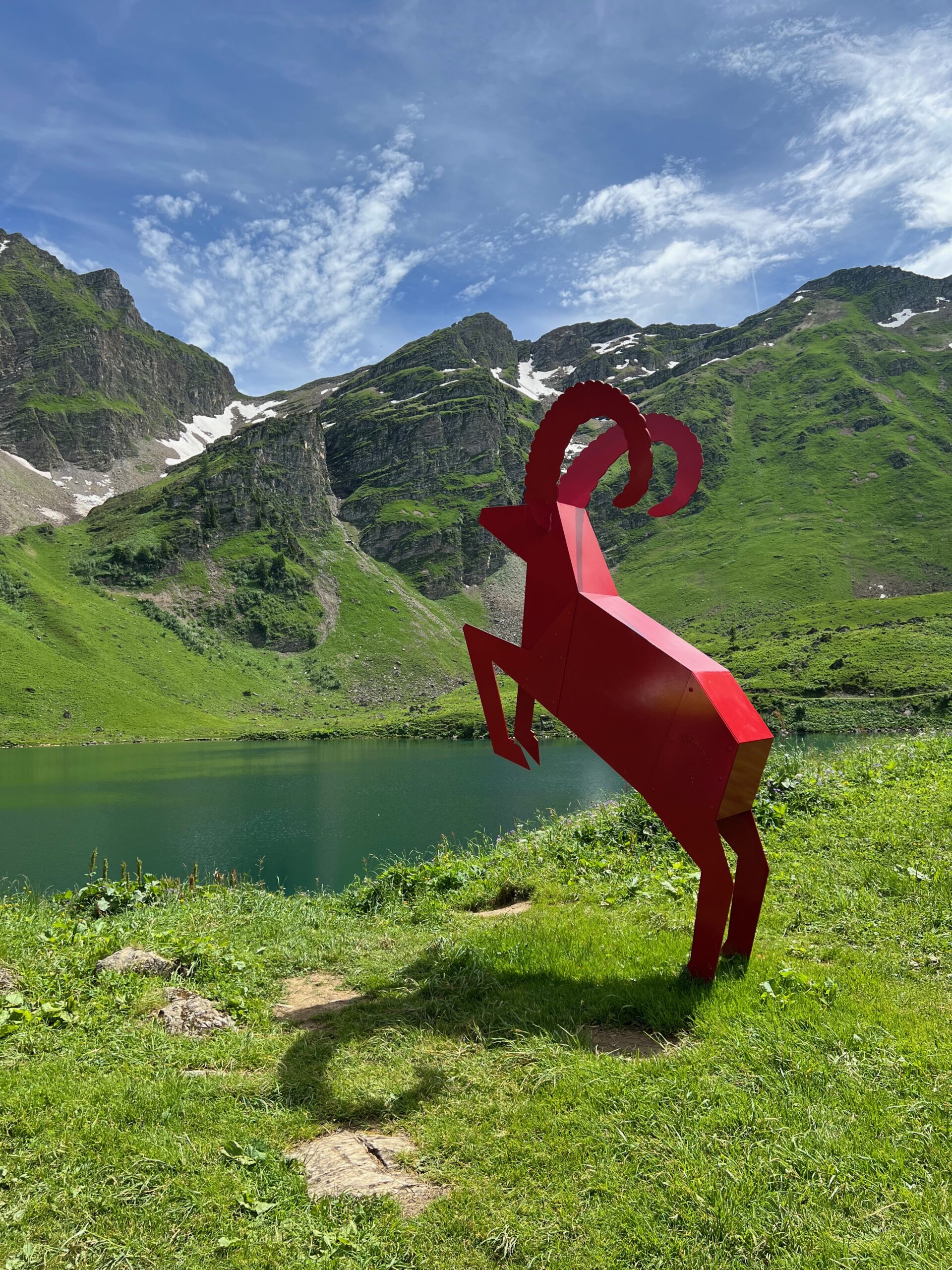 Le bouquetin