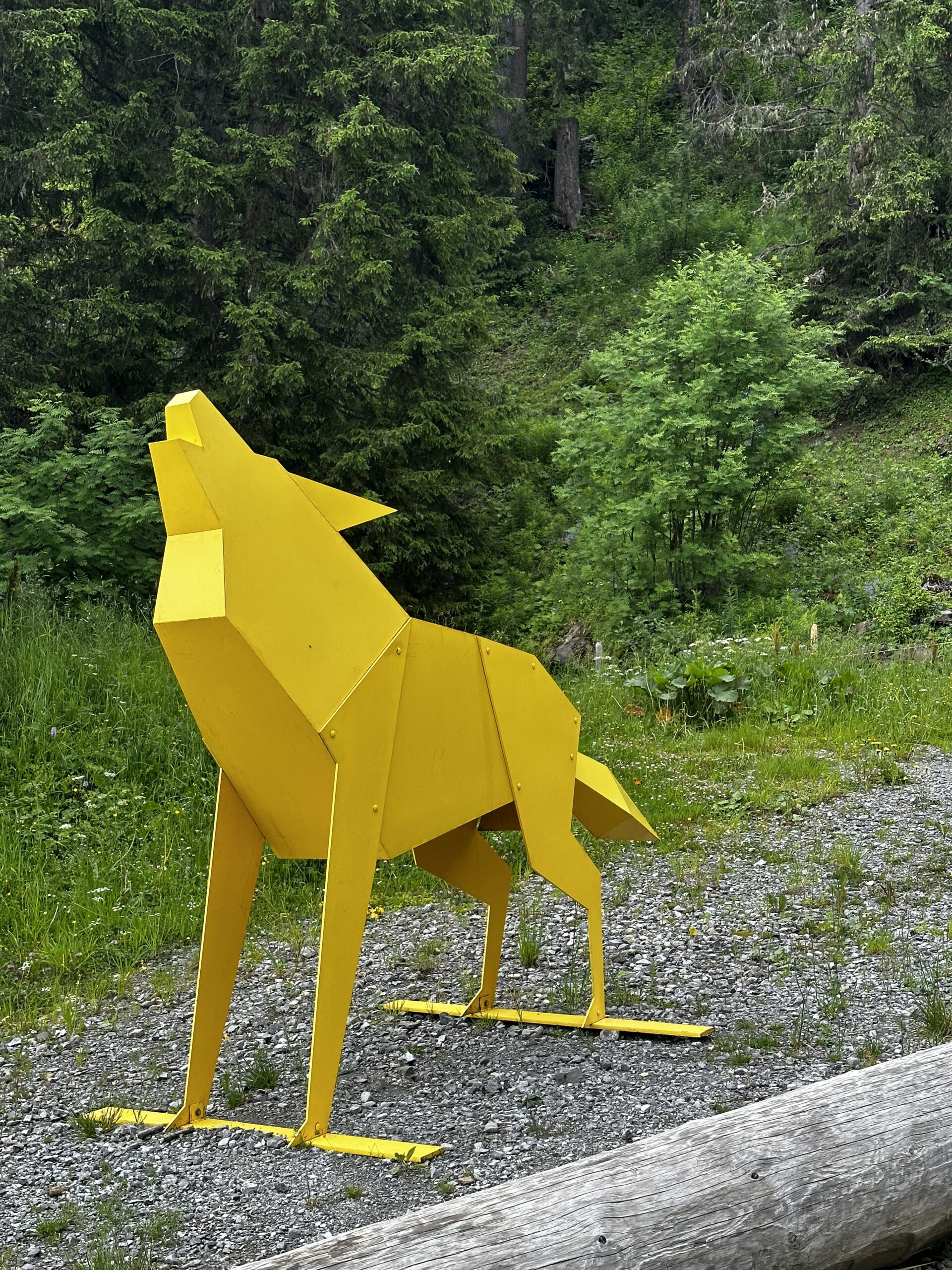Le loup