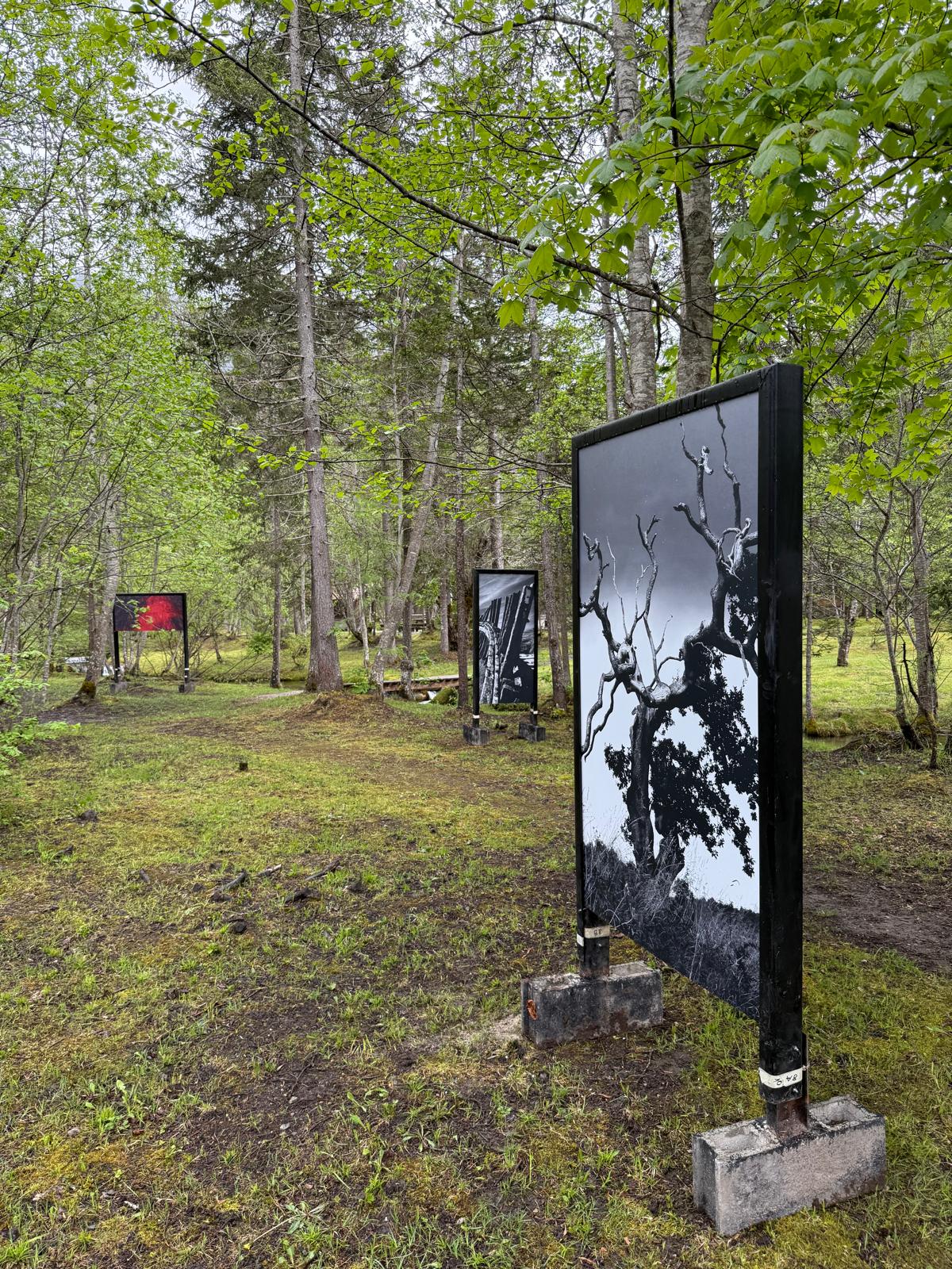 Exposition photos 3